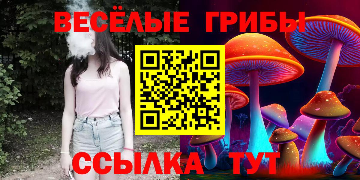 Псилоцибиновые грибы Psilocybine cubensis Камышин